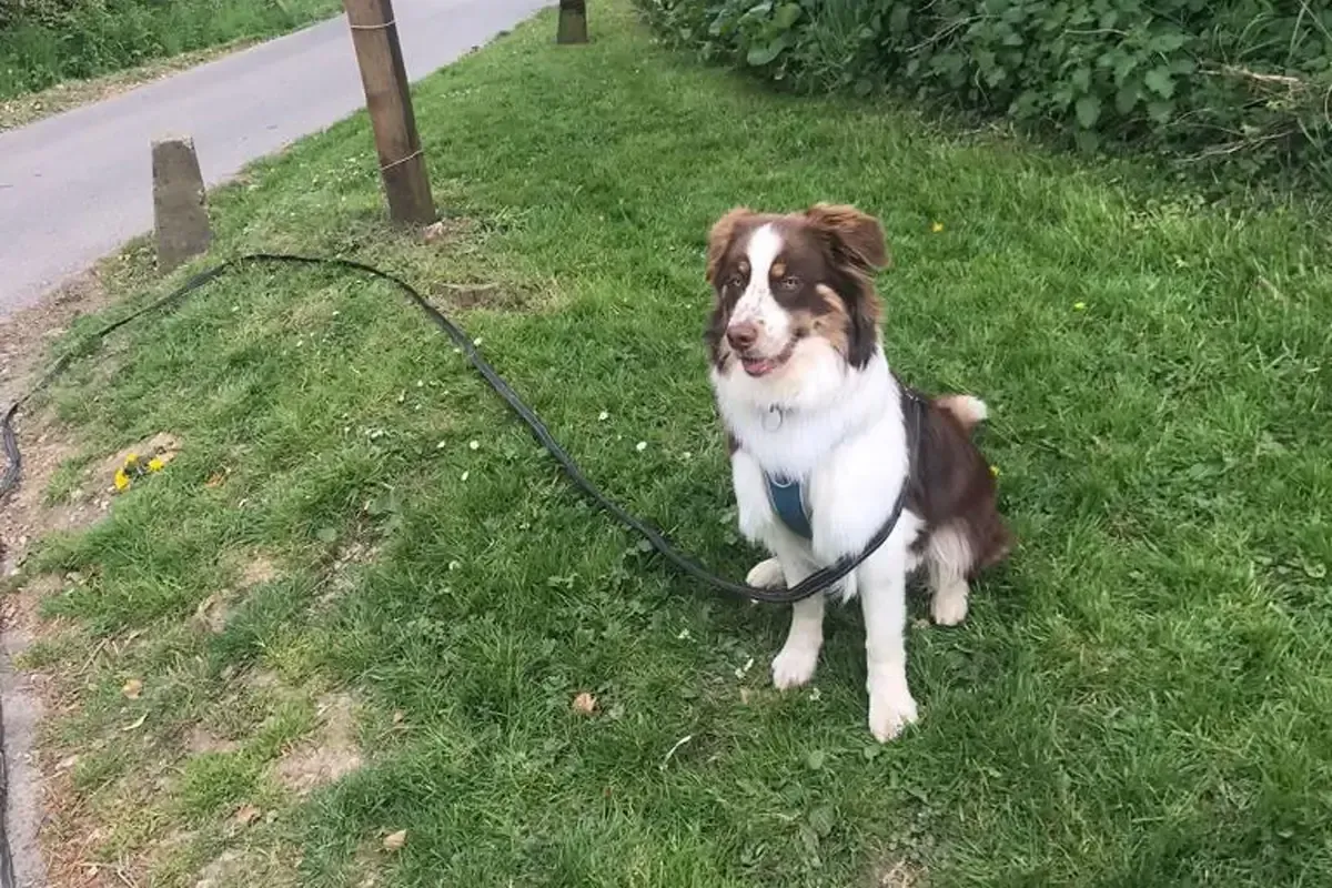 Focus, even mid-adventure