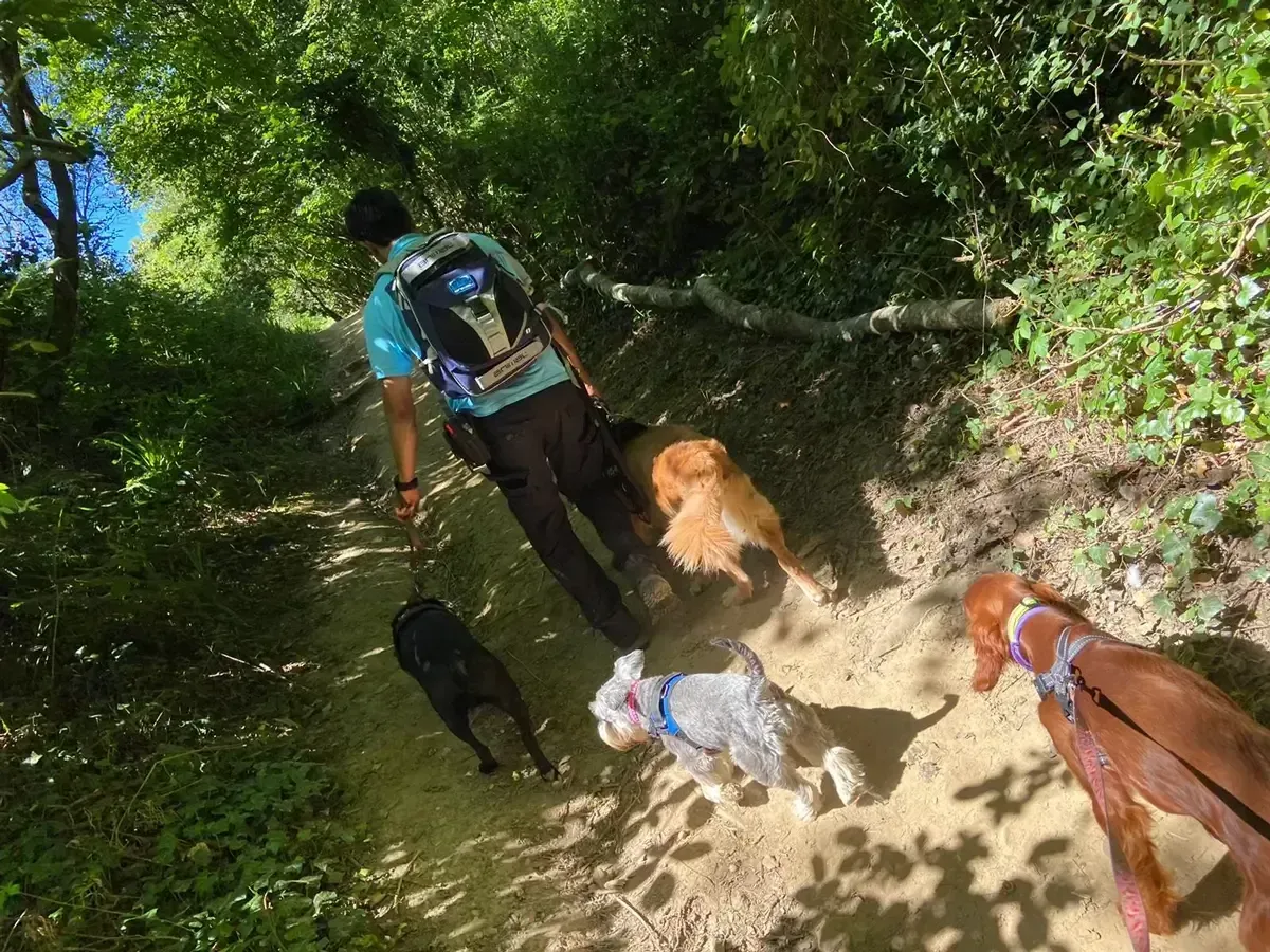 A member of the Fairy Tails team out training a dog in the countryside