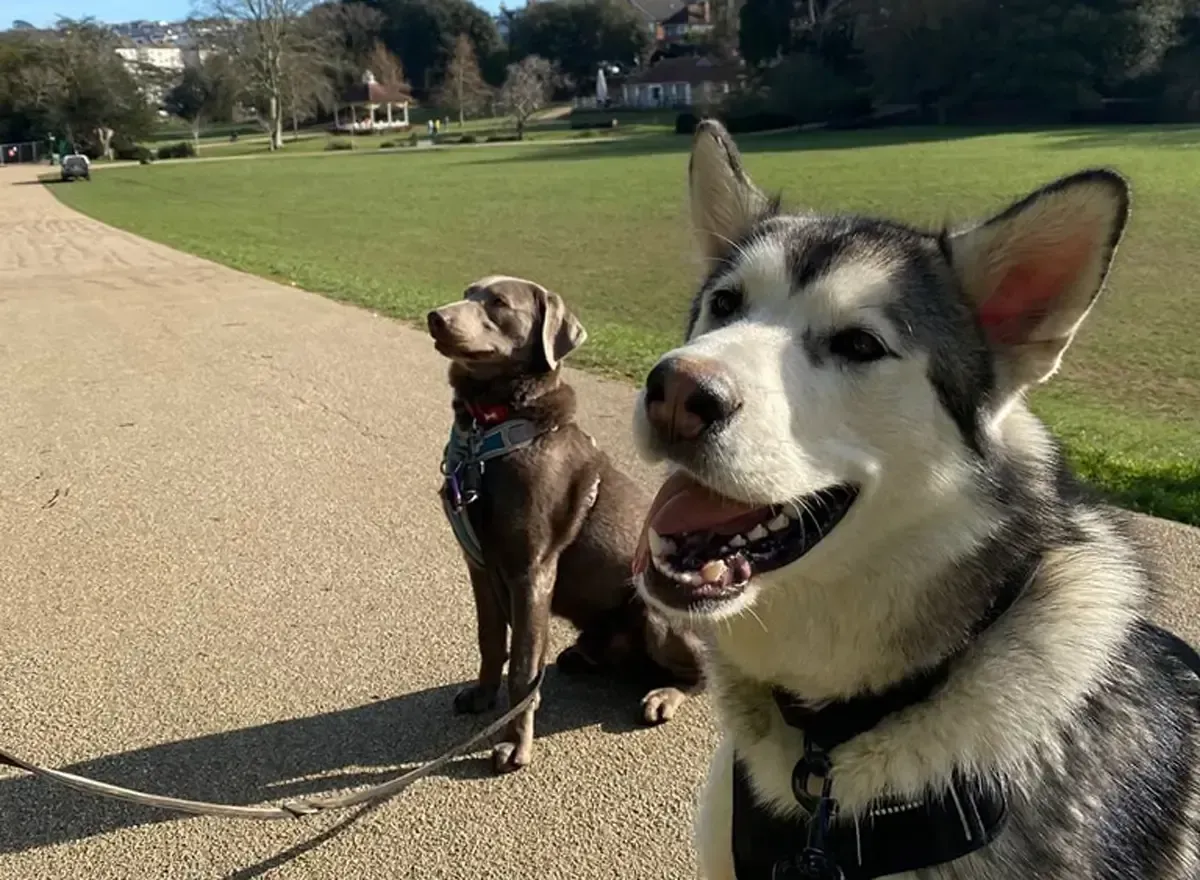 Intensive one-to-one training in the park at The Fairy Tails