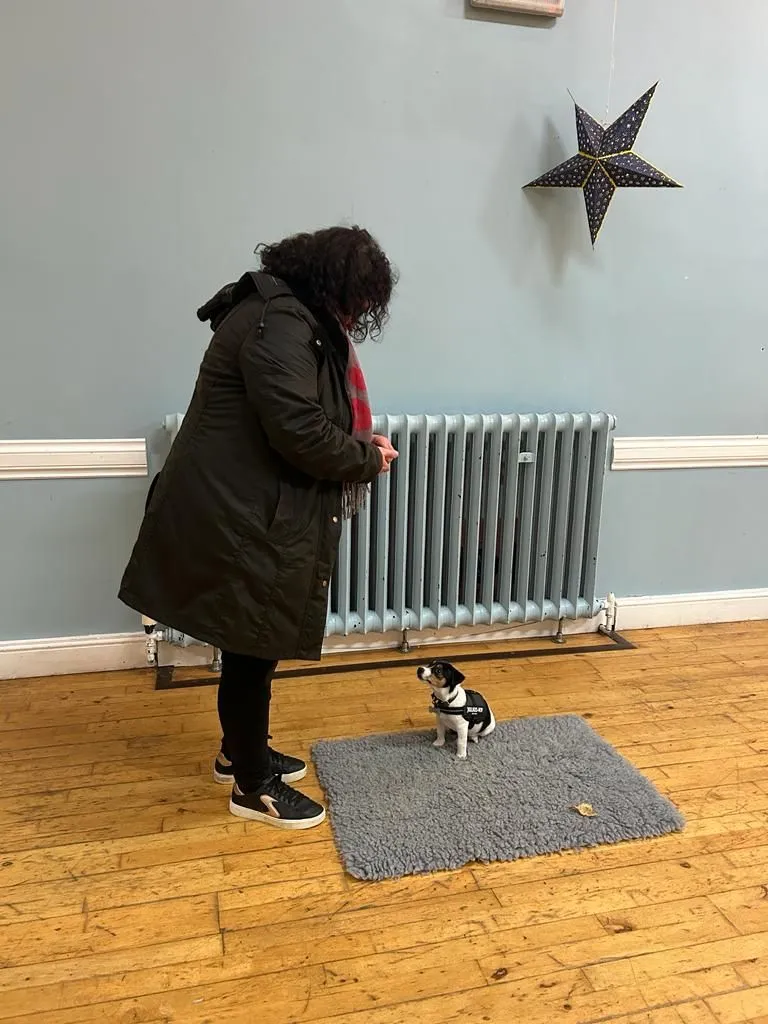 A puppy settling on its mat at a Fairy Tails class in Concordia Hall