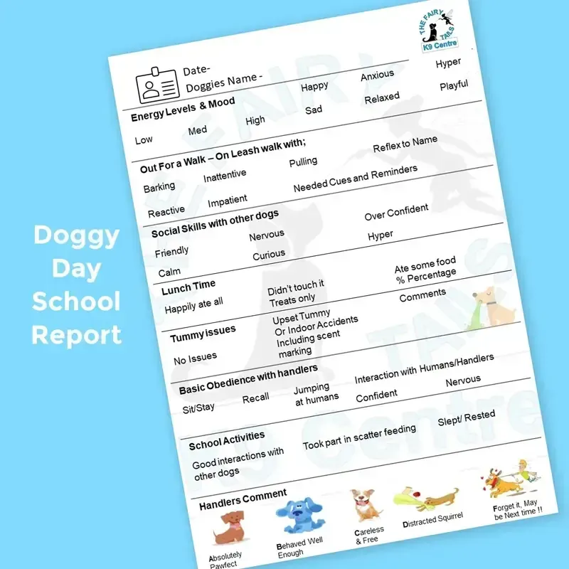 Example Day School daily report