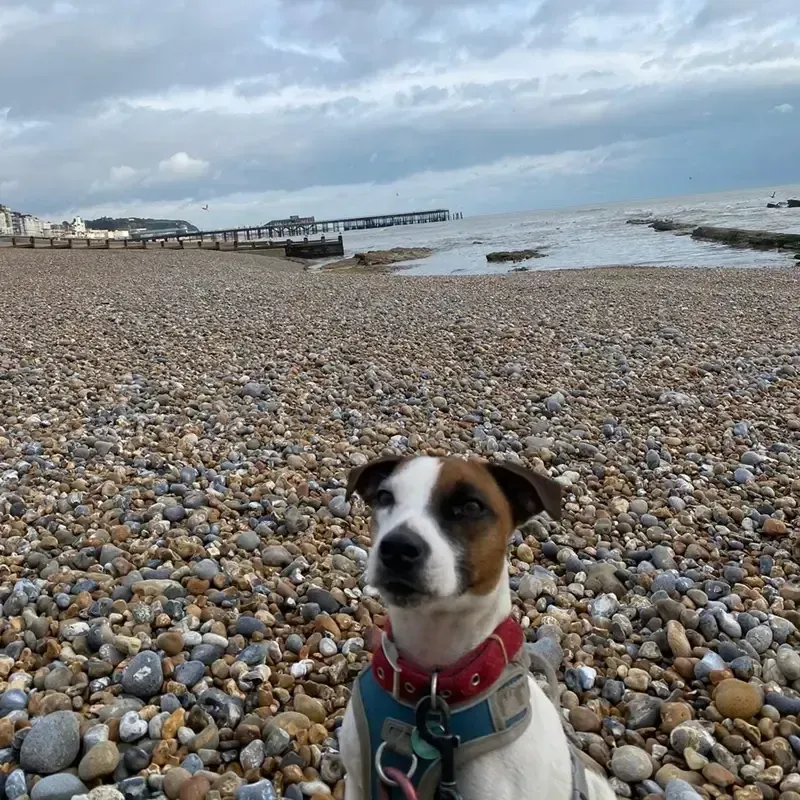 Beach days