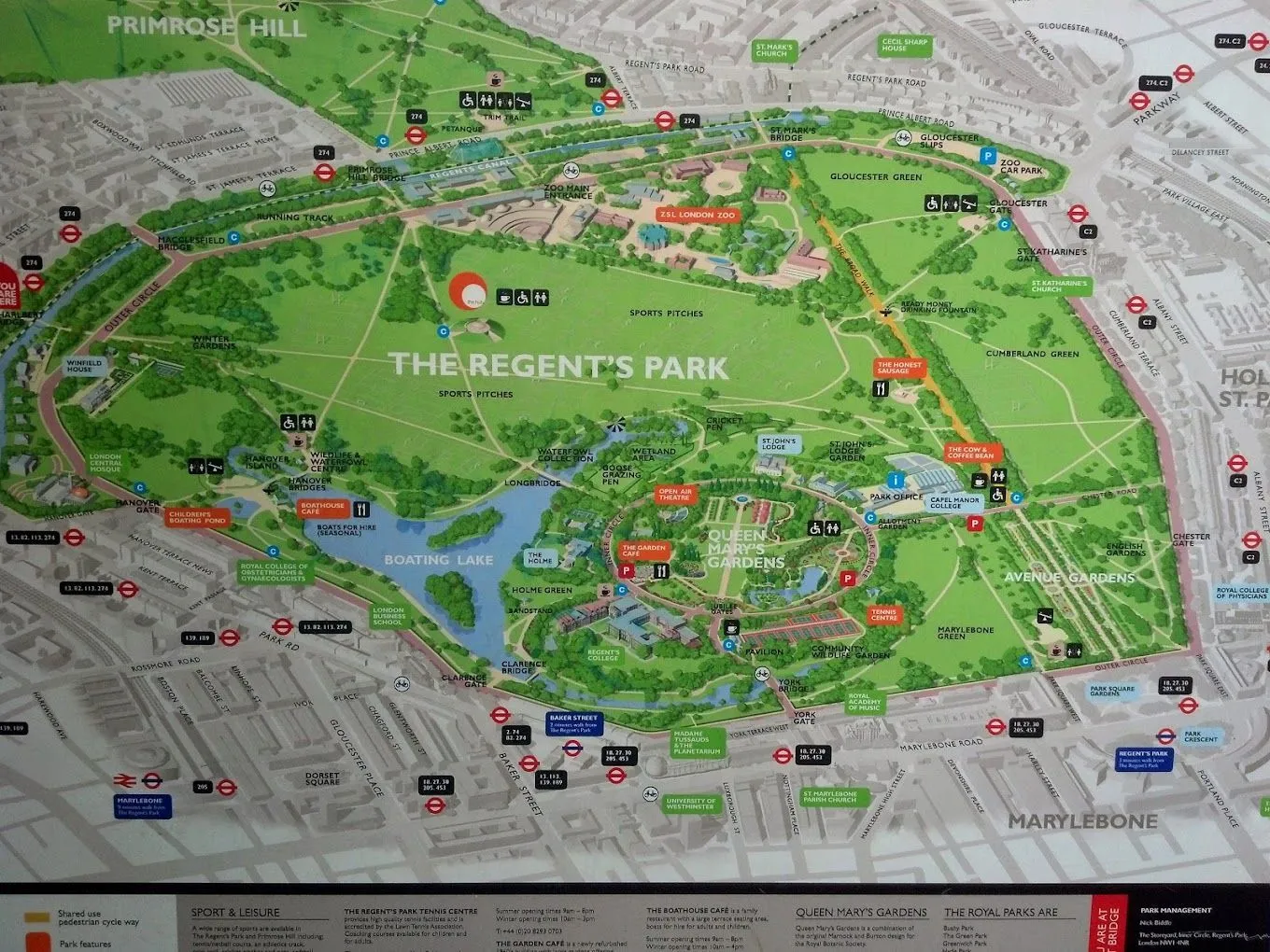 Regent's Park