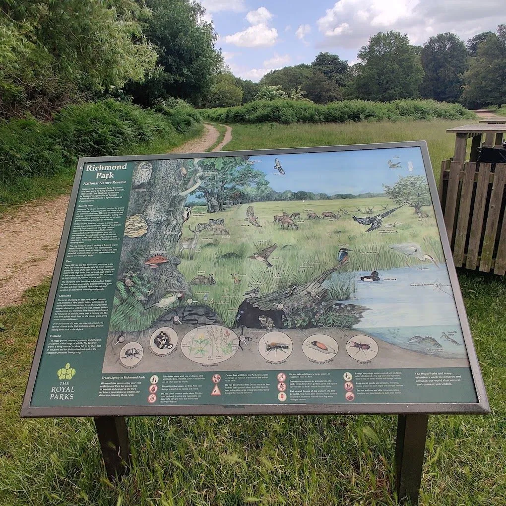 Richmond Park