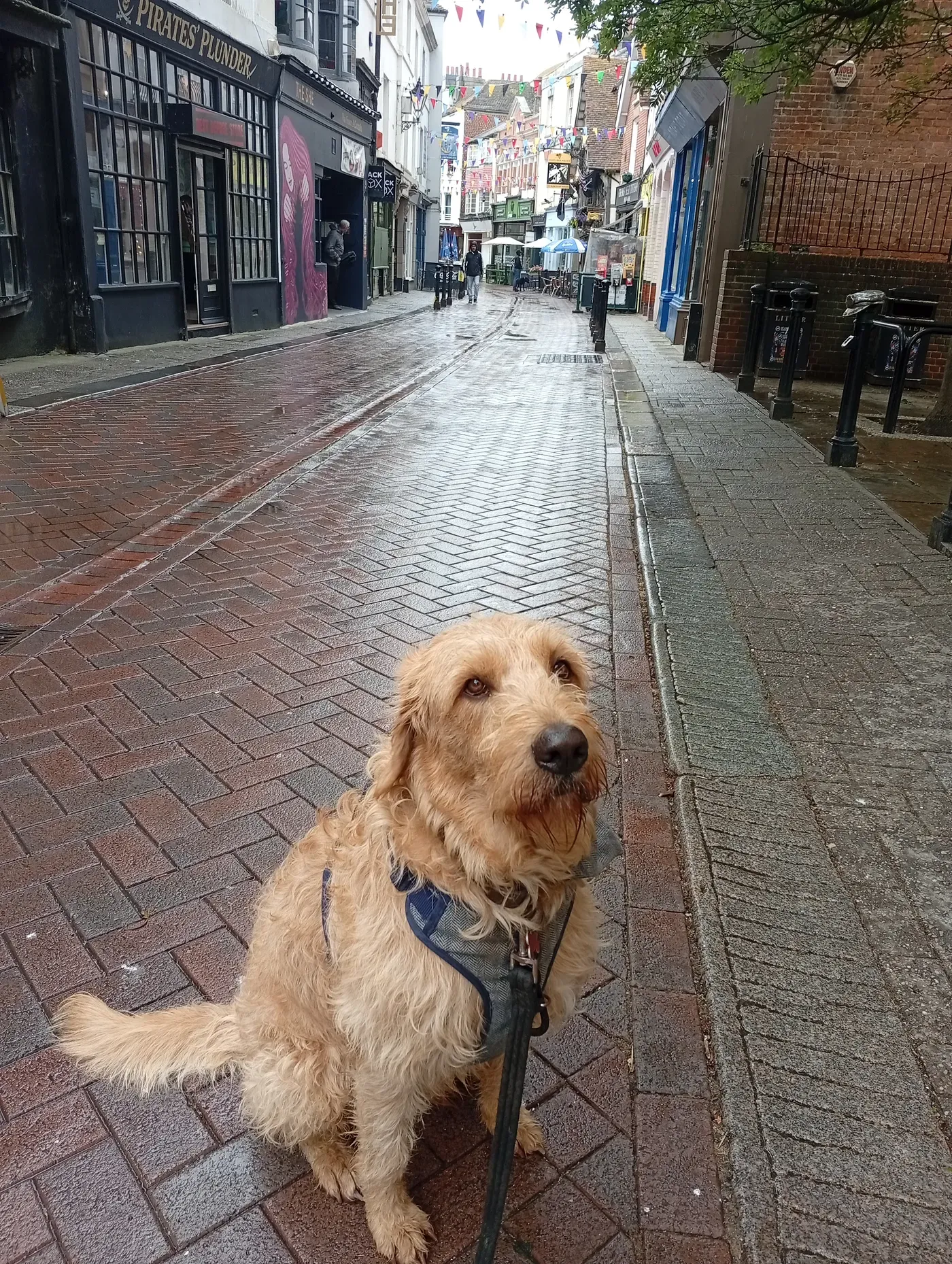 Enzo, calm on the high street
