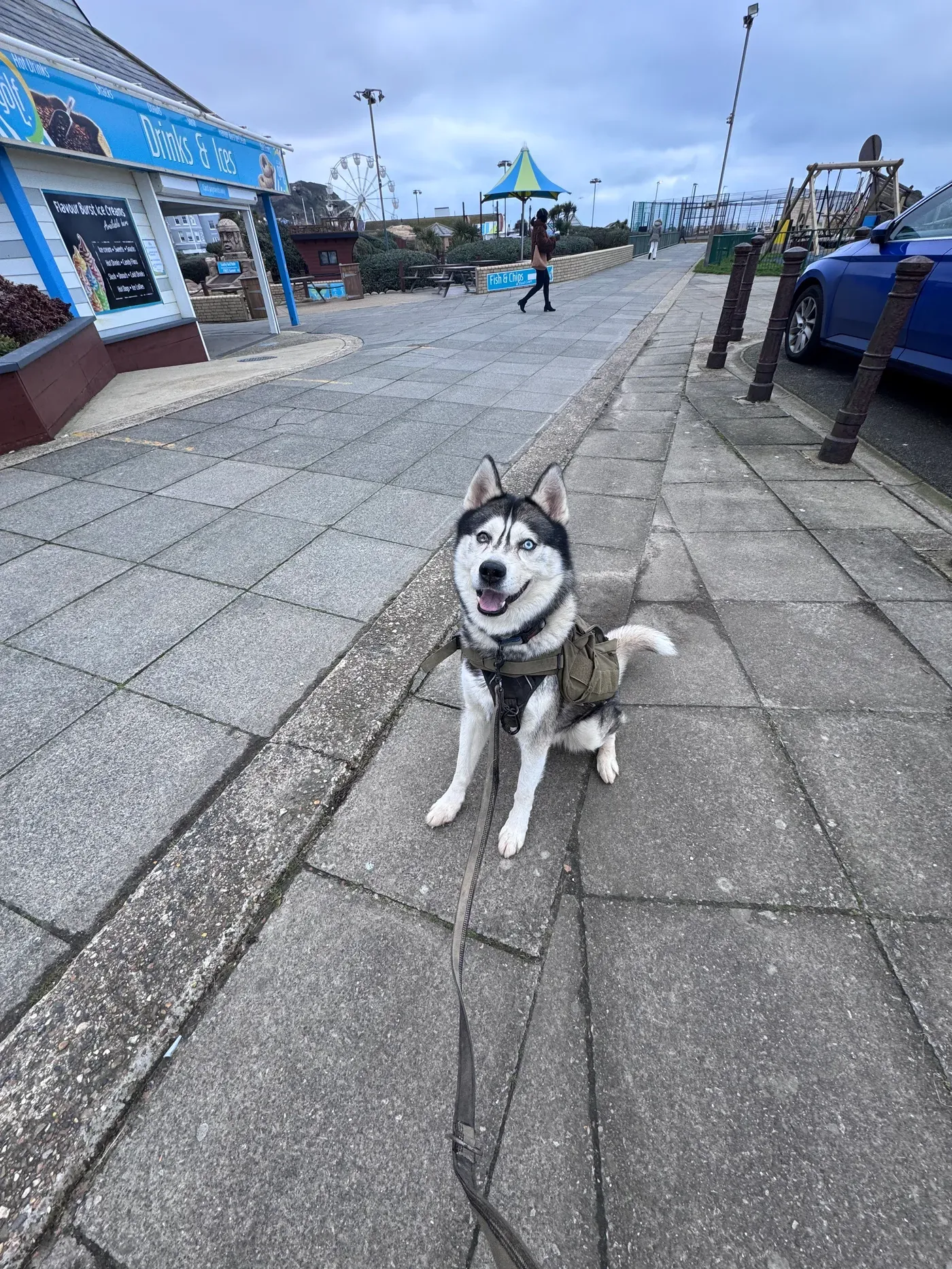 Max, a husky in a backpack harness, sitting on the seafront promenade beside the ice-cream kiosk