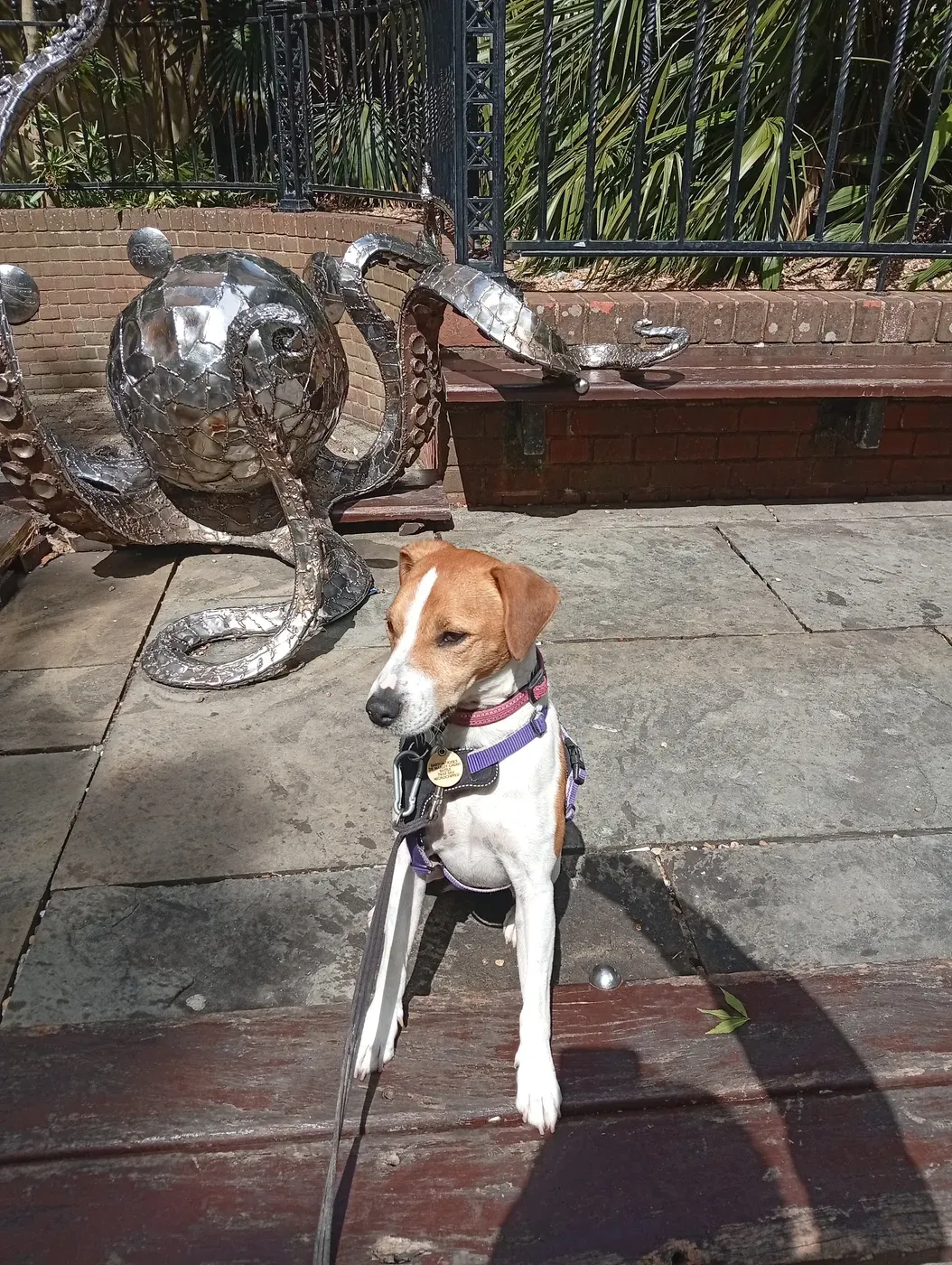 Tan-and-white spaniel at the Rock-a-Nore fishing huts beside striking metal sculptures