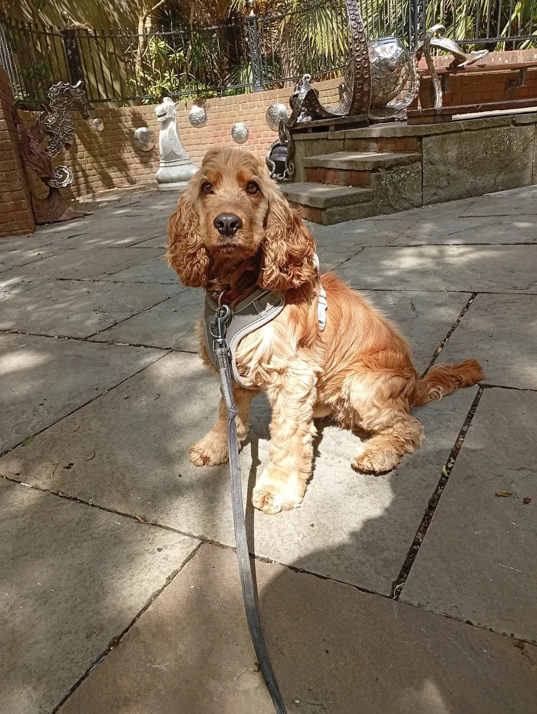 Apricot spaniel settled on a paved town square beside bronze sculptures