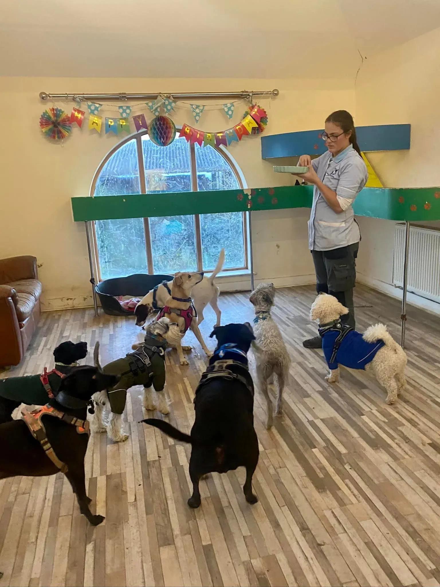A birthday party at day school — one of the team holding the cake while the class gathers round under the bunting