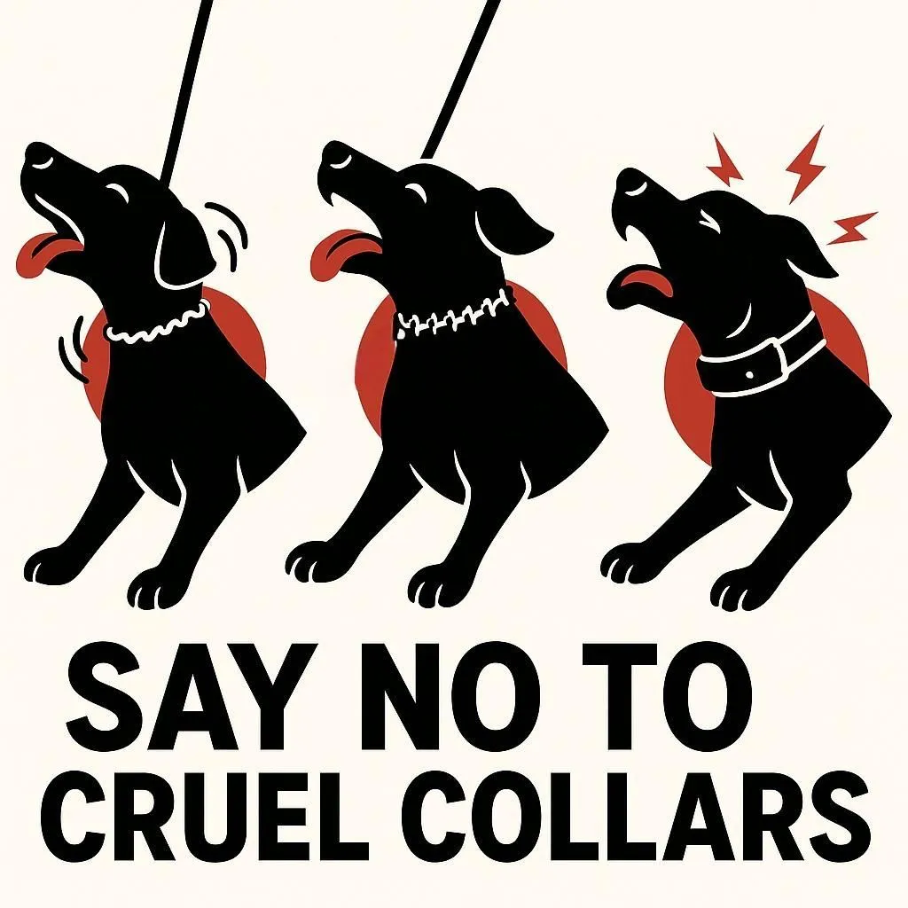 Say no to cruel dog collars illustration — three dogs straining against a choke chain, prong collar and electric collar